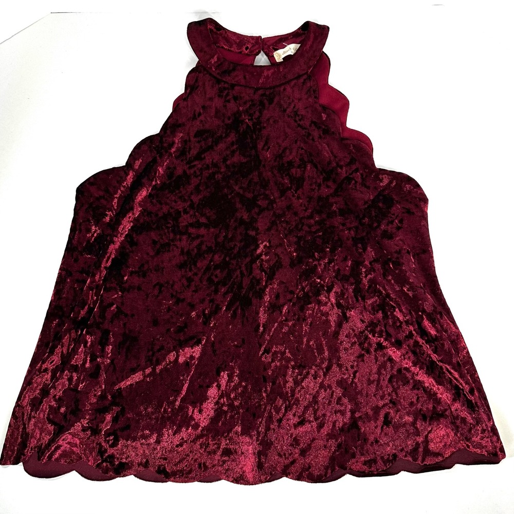 Altar'd State Burgundy Crushed Velvet Scalloped Halter Top Mock Neck Women's M